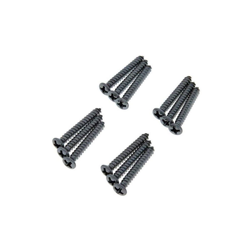 Fender Tornillos Puente Bass/Tele Cromados (12 Uds)