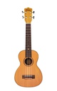Leho Spalted Maple Soprano LHUS-CMF con funda