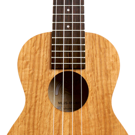 MLUC-XM-NT-05.png
