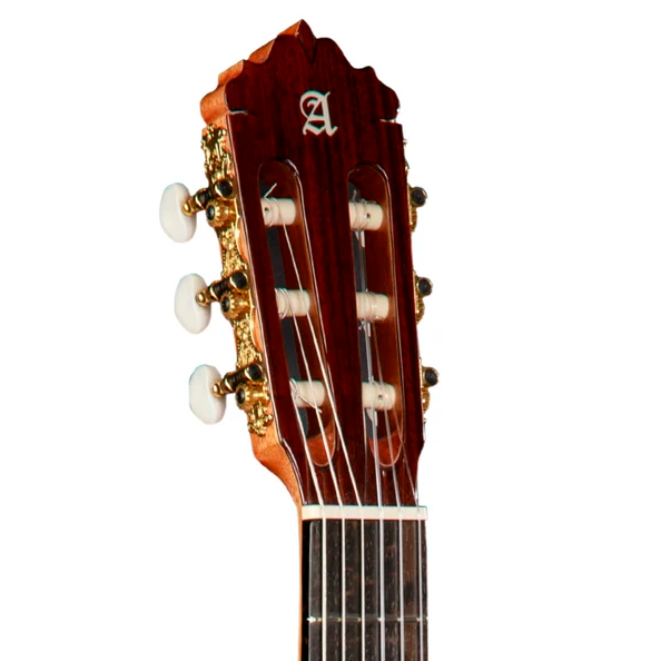 GUITCLAALH113_c.png