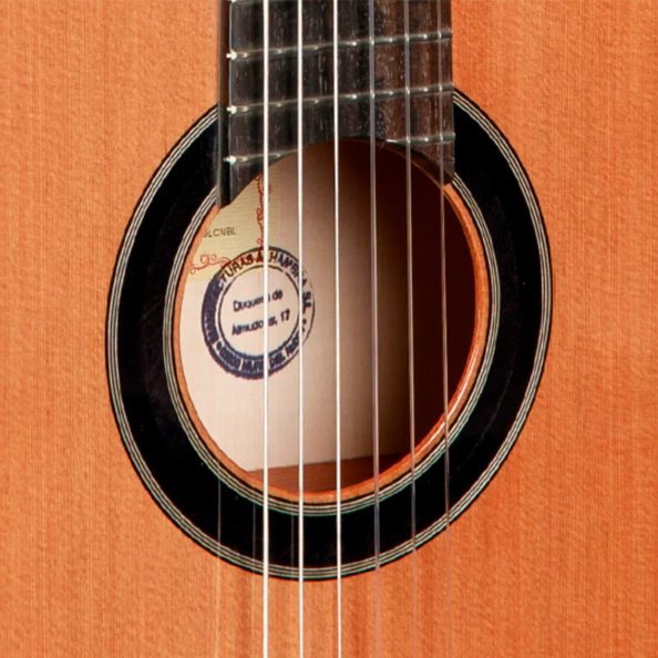 GUITCLAALH113_d.png
