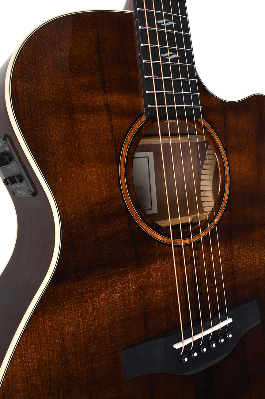 GUITACUSIG386_c.jpg
